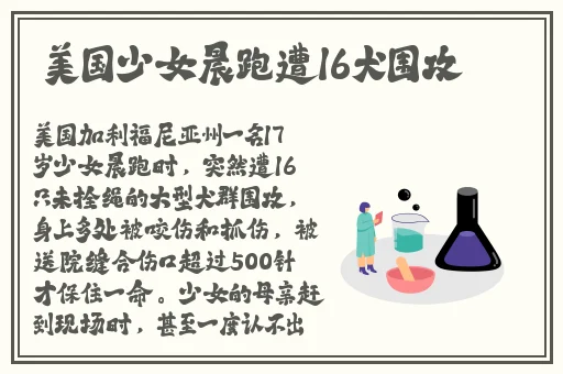 宝贝抬高点我会轻轻的